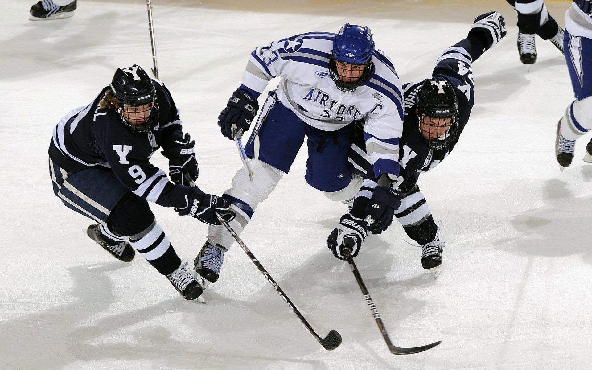 “华金·托比利亚的冷静头脑与强硬防守,为阿根廷美洲狮队抵御外敌”